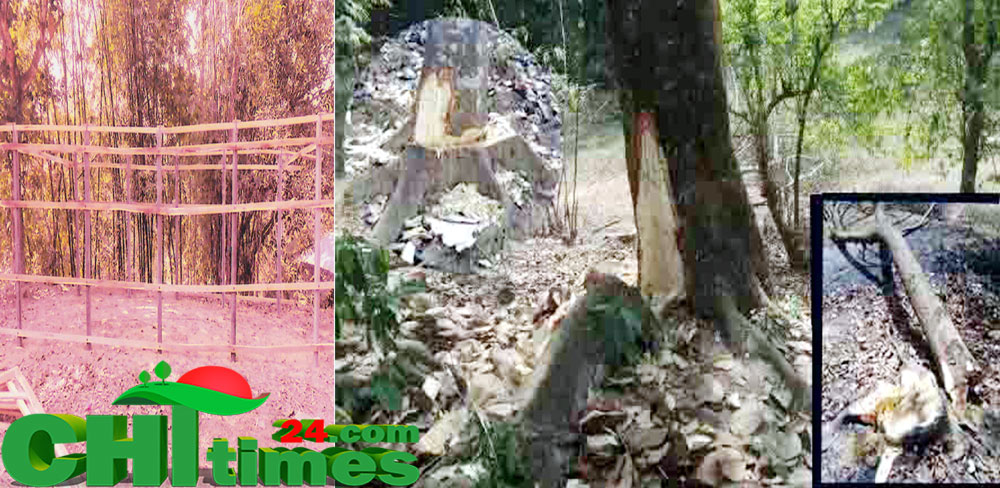 মানিকছড়িতে দখলদারদের দৌরাত্মে বাড়ছে “অপরাধ”