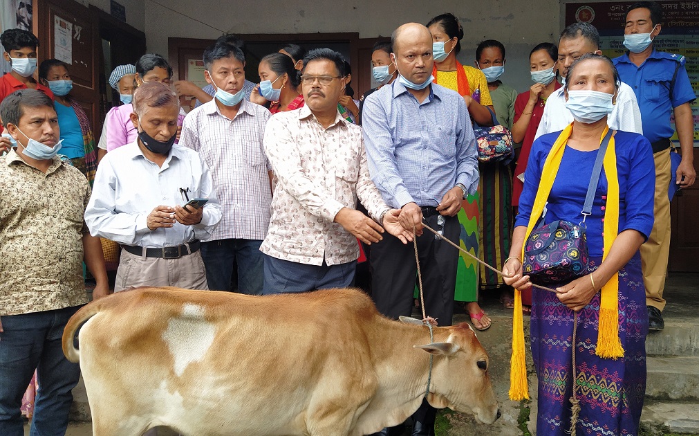 বান্দরবানে অস্বচ্ছল ও দরিদ্র পরিবারে ৪০ টি গাভী বিতরণ