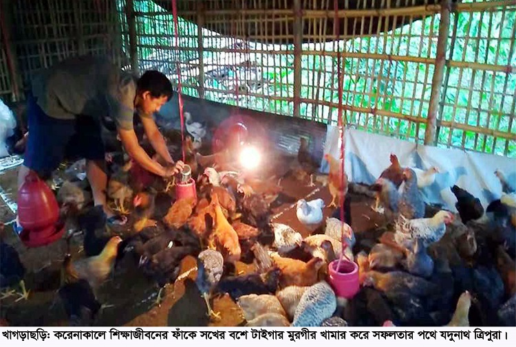 করোনার অবসরে মুরগী পুষে লাভের পথে খাগড়াছড়ির মাস্টার্স শিক্ষার্থী যদুনাথ ত্রিপুরা