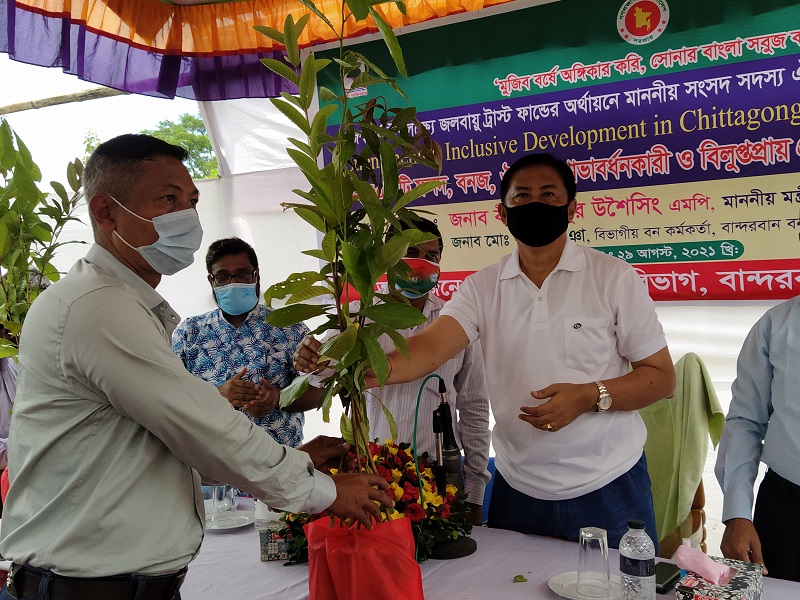 বান্দরবানে চারা বিতরন করলেন পার্বত্যমন্ত্রী