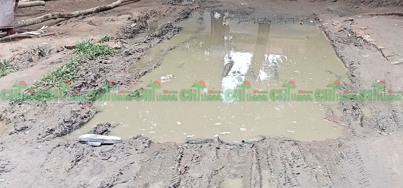 সড়ককে উলঙ্গ করে ইট তুলে নিলো এলজিইডি’র ঠিকাদার; জনদূর্ভোগ চরমে