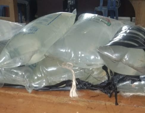 চোলাই মদ পাচারের সময় মহিলা আটক 
