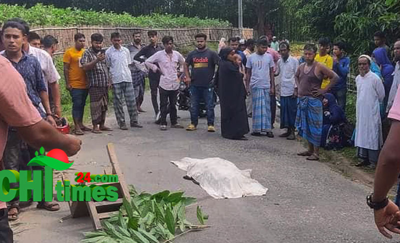 শ্বশুরবাড়ি ফেরা হলো না রুমার;পিষ্ট করে মারলো ঘাতক ট্রাক