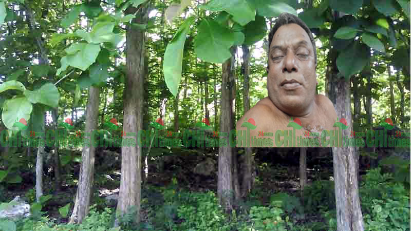 পাহাড়ি সেগুন গাছ বিক্রিকে কেন্দ্র করে মারামারিতে নিহত-১;আটক-২