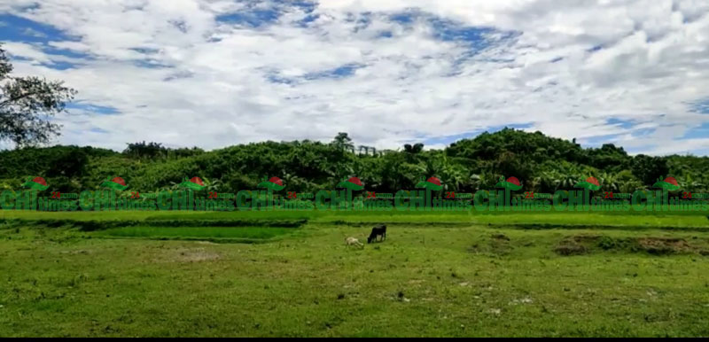 তুমব্রু সীমান্তে উত্তেজনা; এসএসসি পরীক্ষা কেন্দ্র উখিয়ায় স্থানান্তর