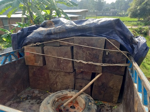 সেনাবাহিনীর অভিযানে বিপুল পরিমাণ অবৈধ কাঠ জব্দ