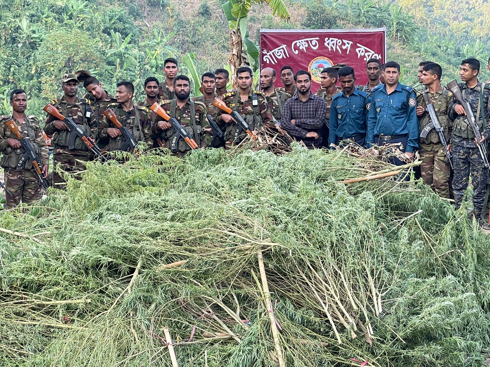খাগড়াছড়ির মহালছড়ি সেনা জোন কর্তৃক দেশের সর্ববৃহৎ গাঁজার ক্ষেত ধ্বংস