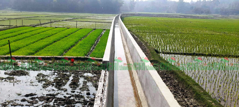 দুর্গম পাহাড়ে উন্নয়ন বোর্ডের সেচ ব্যবস্থাপনায় কৃষকদের মহা কর্মযজ্ঞ 