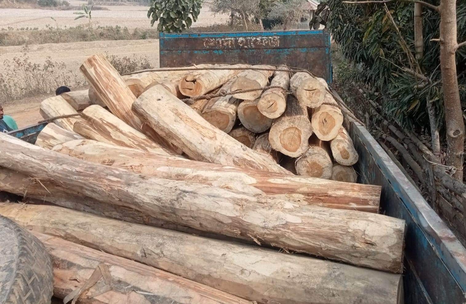 রাজস্থলীতে সেনাবাহিনীর অভিযানে  অবৈধ কাঠ জব্দ