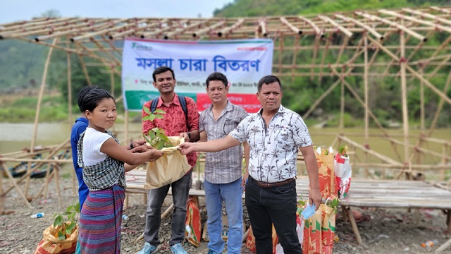 থানচিতে বর্ষার শুরুতে মশলা জাতীয় চারা পেল ৬৮ পরিবার 