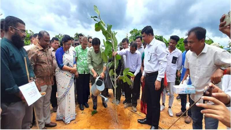 বান্দরবানকে সাজাতে বিভিন্ন পয়েন্টে আরো বৃক্ষ লাগাতে হবে;পার্বত্য মন্ত্রী