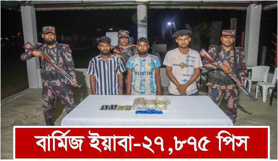 নাইক্ষ্যংছড়িতে বিপুল পরিমাণ ইয়াবাসহ আটক-৩ 