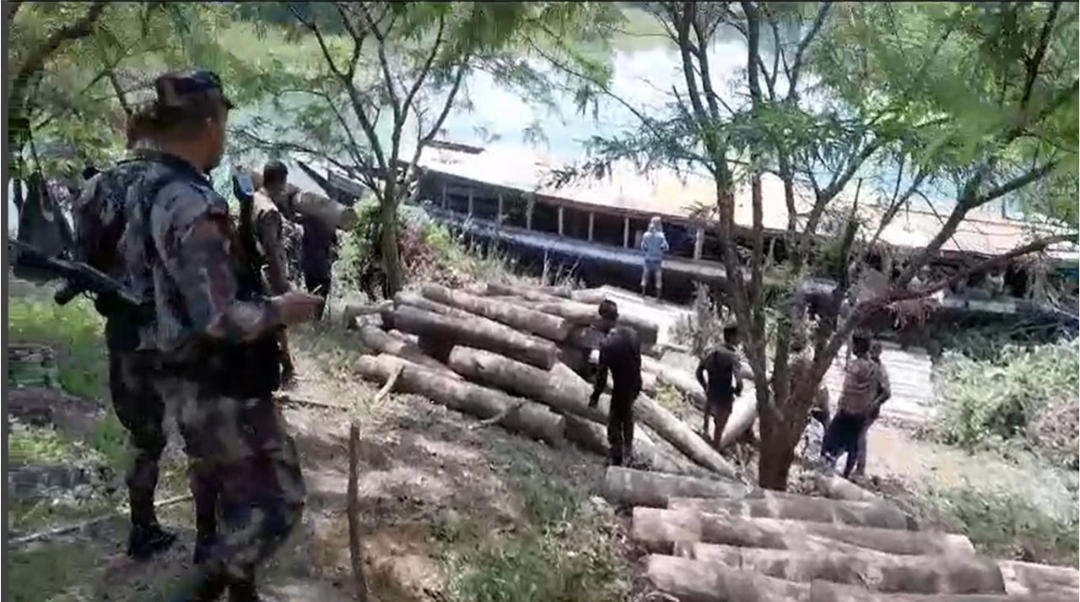 বিজিবি কর্তৃক ৩২লক্ষ টাকার অবৈধ সেগুন ও গামারী গোল কাঠ জব্দ