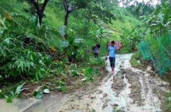 থানচি-রুমা সড়কে গাছ পড়ে যান চলাচল বন্ধ