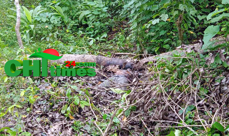 কাপ্তাইয়ে অজ্ঞাত ব্যক্তির অর্ধগলিত লাশ উদ্ধার