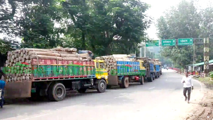 চাঁদার দাবিতে আঞ্চলিক সন্ত্রাসীদের হুমকি; রাঙামাটিতে শতকোটি টাকার কাঠ ব্যবসা বন্ধ!