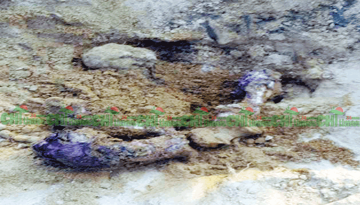 কাপ্তাইয়ে বন্য হাতি হত্যার ঘটনায় বনবিভাগের মামলা