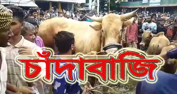 রাঙামাটিতে কুরবানির পশু নিয়ে পদে পদে চাঁদাবাজি !