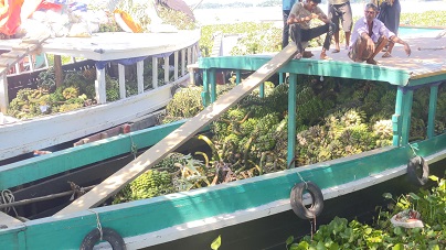 পরিবহণ ধর্মঘটে রাঙামাটিতে কাঁচামাল ব্যবসায়ীদের ২কোটি টাকার ক্ষতি