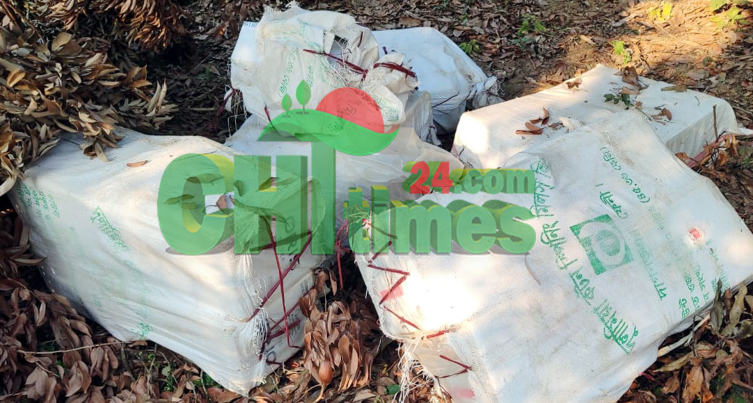 নানিয়ারচরে অবৈধ বিদেশী সিগারেট আটক; বিশেষ ক্ষমতা আইনে মামলা