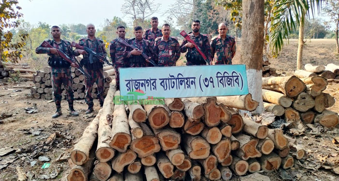 রাজনগর জোনের নিরলস প্রচেষ্টায় বিপুল পরিমাণ অবৈধ কাঠ জব্দ
