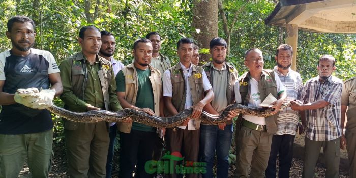 উদ্ধার হওয়া অজগর সাপ কাপ্তাই ন্যাশনাল পার্কে অবমুক্ত