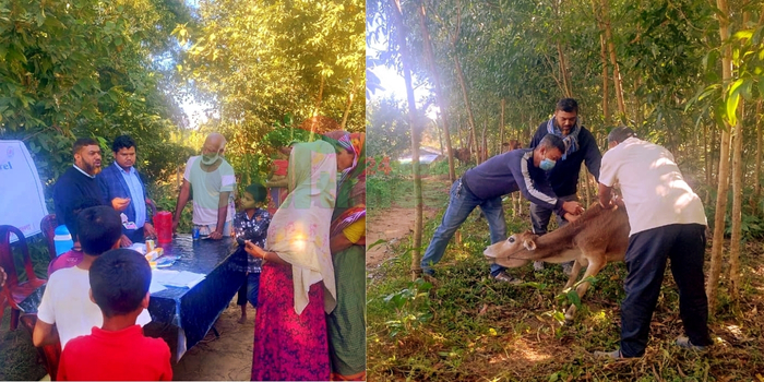বাঙ্গালহালিয়ায় গবাদিপশুতে ভিটামিন–কৃমিনাশক বিতরণ