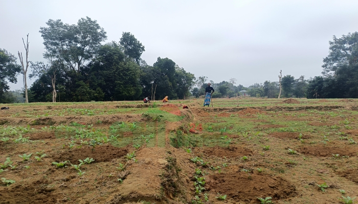 শীতার্ত মানুষের পাশে থাকার আশ্বাস উপজেলা প্রশাসনের