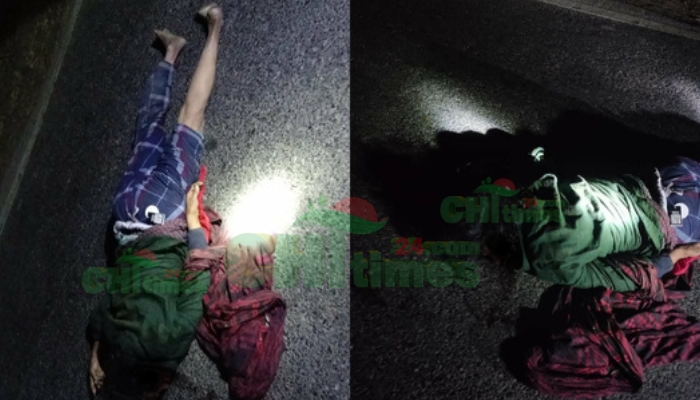 রাঙামাটির কাপ্তাইয়ে বন্যহাতির তাণ্ডব: নারীর মর্মান্তিক মৃত্যু
