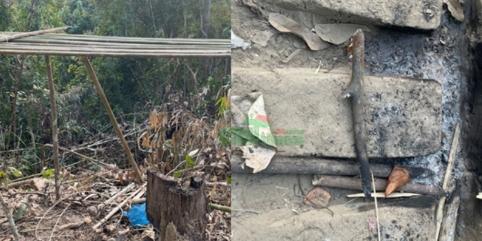 সংরক্ষিত বনাঞ্চলে সশস্ত্র কাঠ পাচারকারীদের ক্যাম্প ধ্বংস, বিজিবির অভিযানে উদ্ধার সেগুন গাছ