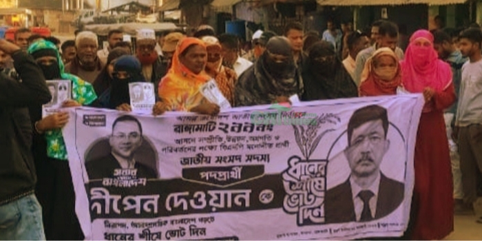 ধানের শীষের পক্ষে মাঠে তৃণমূল বিএনপি, চলছে গণসংযোগ ও লিফলেট বিতরণ