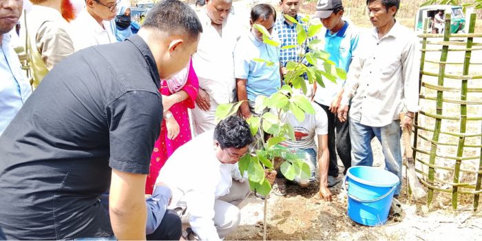 রাঙামাটিতে ৪১ হাজার গাছের চারা রোপণ কর্মসূচি শুরু