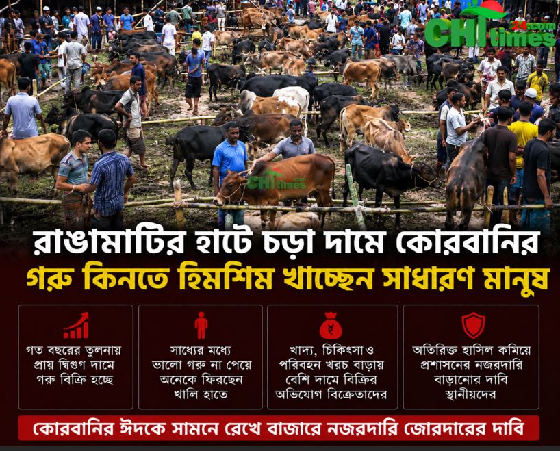 রাঙামাটির হাটে চড়া দামে কোরবানির গরু কিনতে হিমশিম খাচ্ছেন সাধারণ মানুষ