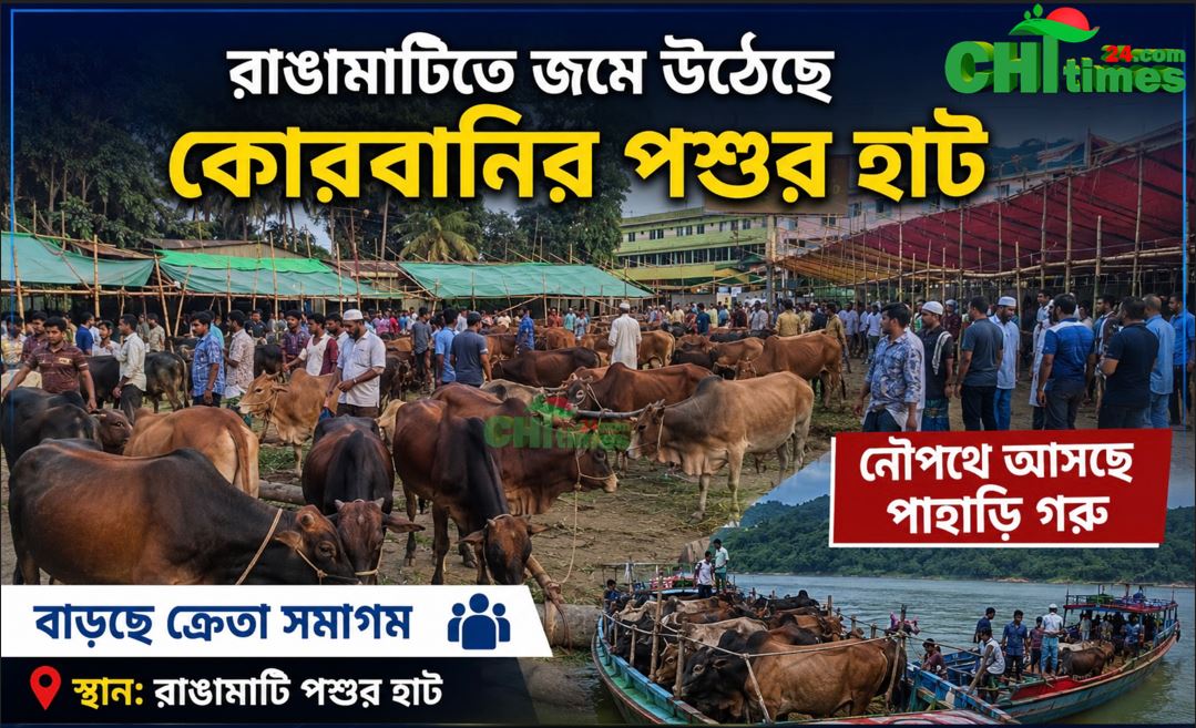 রাঙামাটিতে জমে উঠেছে কোরবানির পশুর হাট নৌপথে আসছে পাহাড়ি গরু, বাড়ছে ক্রেতা সমাগম