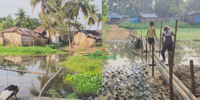 ১৭ বছরেও উন্নয়নের ছোঁয়া লাগেনি বাঘাইছড়ির বেপারী পাড়ায়