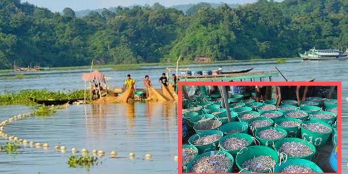 কাপ্তাই হ্রদে প্রথম ২৪ ঘণ্টায় ১৯৩ টন মাছ অবতরণ, রাজস্ব ৪২ লাখ টাকা
