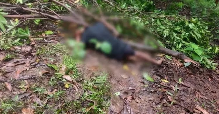 বান্দরবানে মোবাইল ব্যবহার নিয়ে বিরোধ, আমবাগানে শ্রমিককে কুপিয়ে হত্যা