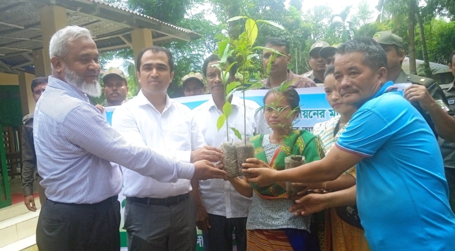 রাজস্থলীতে নানা প্রজাতির ১৮ হাজার ৬০০ গাছের চারা বিনামূল্যে  বিতরণ