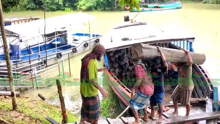 পাহাড়ে সিন্ডিকেট চক্র কর্তৃক উজাড় হচ্ছে বনাঞ্চল; রাঙামাটিতে সাড়ে ৩ হাজার ঘনফুট কাঠ জব্দ